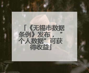 《无锡市数据条例》发布，“个人数据”可获得收益