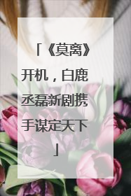 《莫离》开机，白鹿丞磊新剧携手谋定天下