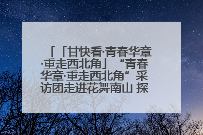 「甘快看·青春华章·重走西北角」“青春华章·重走西北角”采访团走进花舞南山 探寻天水乡村振兴之路