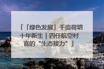 「绿色发展」千亩荷塘 十年新生｜四任航空村官的“生态接力”