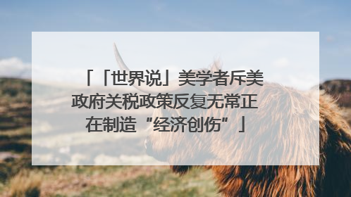 「世界说」美学者斥美政府关税政策反复无常正在制造“经济创伤”