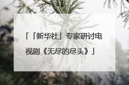 「新华社」专家研讨电视剧《无尽的尽头》