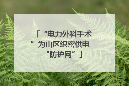 “电力外科手术”为山区织密供电“防护网”