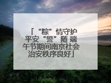 “粽”情守护 平安“警”随 端午节期间南京社会治安秩序良好
