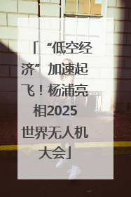 “低空经济”加速起飞！杨浦亮相2025世界无人机大会