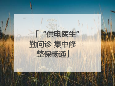 “供电医生”勤问诊 集中修整保畅通