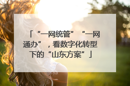 “一网统管”“一网通办”，看数字化转型下的“山东方案”