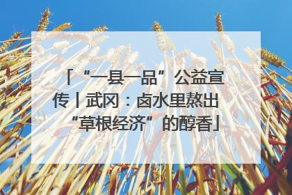 “一县一品”公益宣传丨武冈：卤水里熬出“草根经济”的醇香