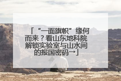 “一面旗帜”缘何而来？看山东地科院解锁实验室与山水间的报国密码→