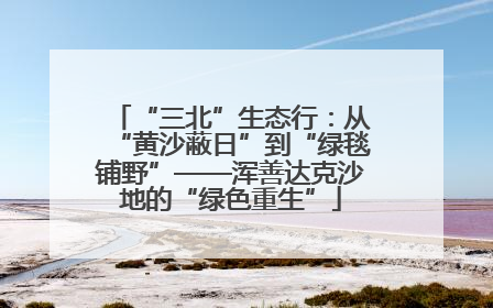 “三北”生态行：从“黄沙蔽日”到“绿毯铺野”——浑善达克沙地的“绿色重生”