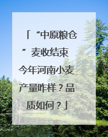 “中原粮仓”麦收结束 今年河南小麦产量咋样？品质如何？
