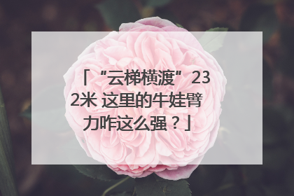 “云梯横渡”232米 这里的牛娃臂力咋这么强？