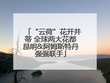 “云荷”花开并蒂 全球两大花都昆明&阿姆斯特丹强强联手