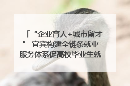 “企业育人+城市留才” 宜宾构建全链条就业服务体系促高校毕业生就业｜您牵挂的四川