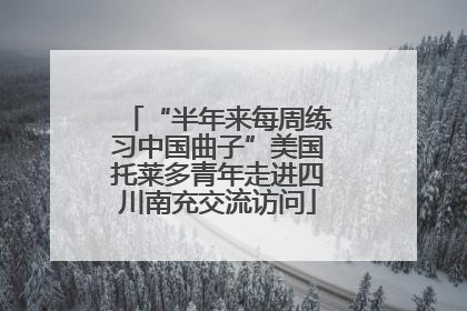 “半年来每周练习中国曲子”美国托莱多青年走进四川南充交流访问