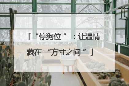 “停狗位 ”：让温情藏在 “方寸之间 ”