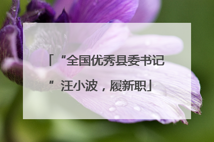 “全国优秀县委书记”汪小波，履新职