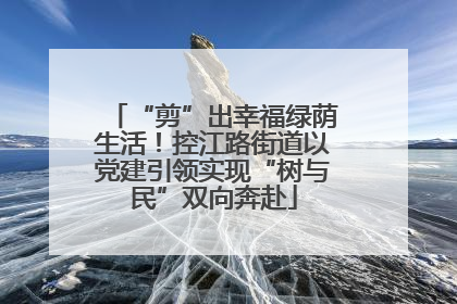 “剪”出幸福绿荫生活！控江路街道以党建引领实现“树与民”双向奔赴