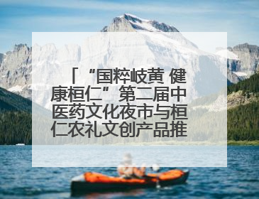“国粹岐黄 健康桓仁”第二届中医药文化夜市与桓仁农礼文创产品推介会圆满举办