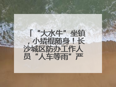 “大水牛”坐镇，小撬棍随身！长沙城区防办工作人员“人车等雨”严阵以待
