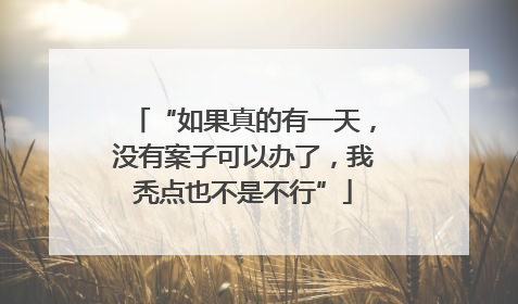 “如果真的有一天，没有案子可以办了，我秃点也不是不行”