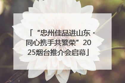 “忠州佳品进山东・同心携手共繁荣”2025烟台推介会启幕