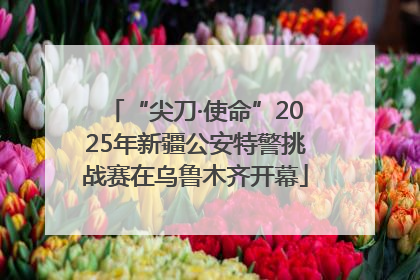 “尖刀·使命”2025年新疆公安特警挑战赛在乌鲁木齐开幕
