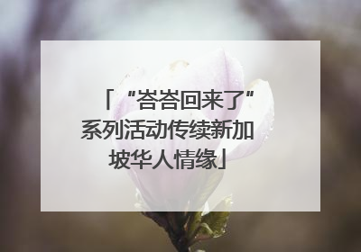 “峇峇回来了”系列活动传续新加坡华人情缘