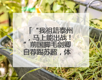 “我祖籍泰州，马上能出战！”前国脚毛剑卿自荐踢苏超，体育局回应