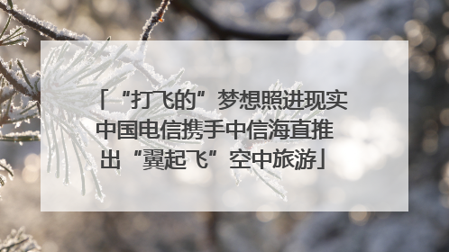 “打飞的”梦想照进现实 中国电信携手中信海直推出“翼起飞”空中旅游