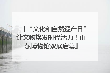 “文化和自然遗产日”让文物焕发时代活力！山东博物馆双展启幕