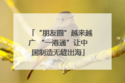 “朋友圈”越来越广 “一港通”让中国制造无缝出海