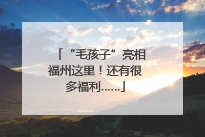 “毛孩子”亮相福州这里！还有很多福利……