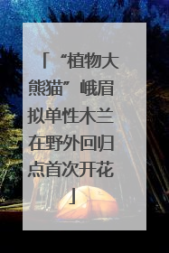 “植物大熊猫”峨眉拟单性木兰在野外回归点首次开花