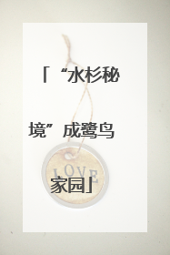 “水杉秘境”成鹭鸟家园