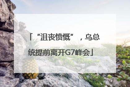 “沮丧愤慨”，乌总统提前离开G7峰会