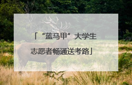 “蓝马甲”大学生志愿者畅通送考路