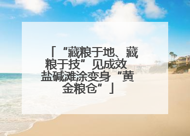 “藏粮于地、藏粮于技”见成效 盐碱滩涂变身“黄金粮仓”