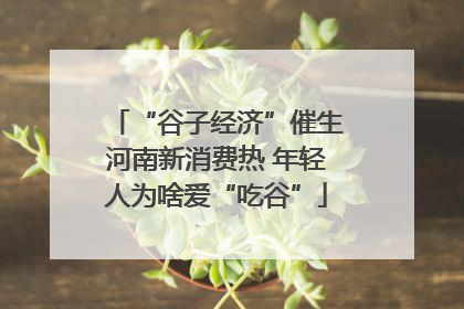 “谷子经济”催生河南新消费热 年轻人为啥爱“吃谷”