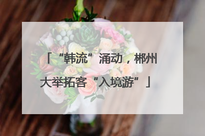 “韩流”涌动，郴州大举拓客“入境游”