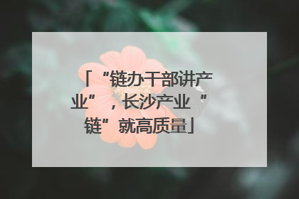 “链办干部讲产业”，长沙产业“链”就高质量