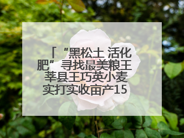 “黑松土 活化肥”寻找最美粮王 莘县王巧英小麦实打实收亩产1515.4斤 超对照田144斤！