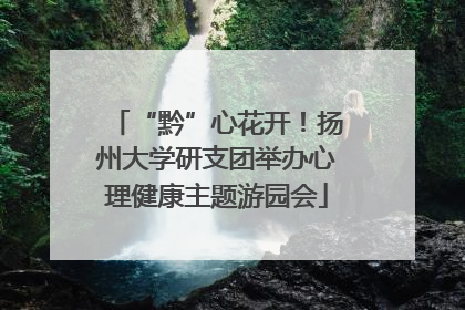 “黔”心花开！扬州大学研支团举办心理健康主题游园会