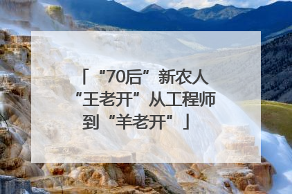 “70后”新农人“王老开”从工程师到“羊老开”
