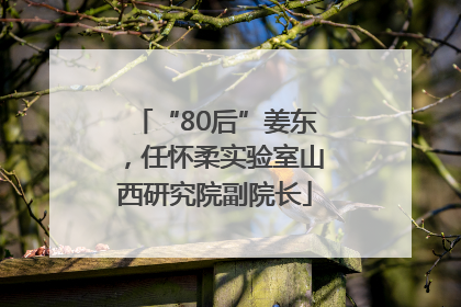 “80后”姜东，任怀柔实验室山西研究院副院长