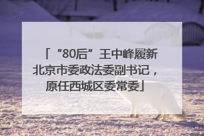 “80后”王中峰履新北京市委政法委副书记，原任西城区委常委