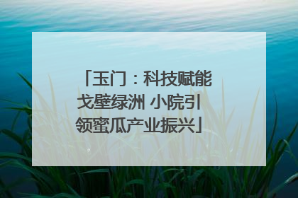 玉门：科技赋能戈壁绿洲 小院引领蜜瓜产业振兴