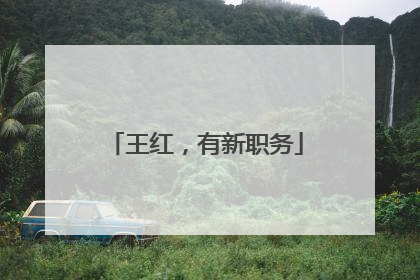 王红，有新职务