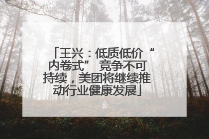 王兴：低质低价“内卷式” 竞争不可持续，美团将继续推动行业健康发展