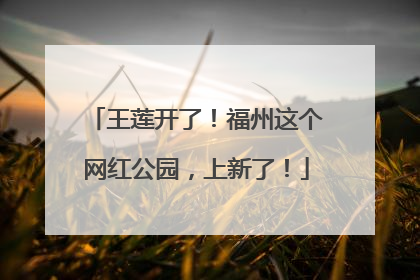 王莲开了！福州这个网红公园，上新了！